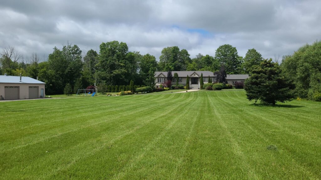 commercial lawn care Landscape maintenance Kitchener