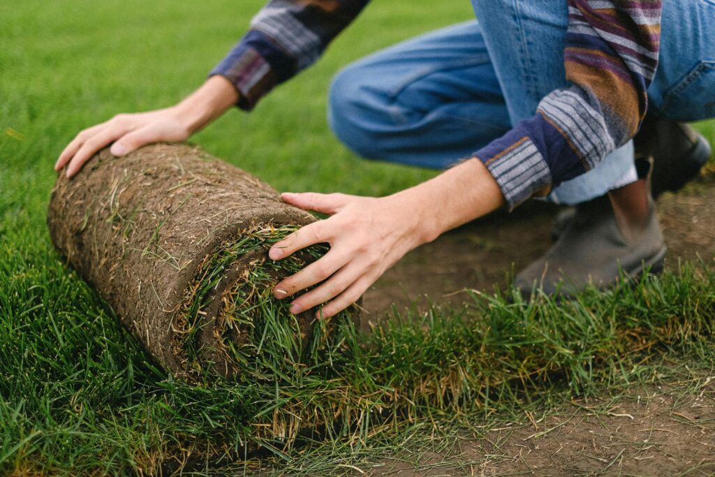 Is it Better to Lay Down New Sod or Fix My Current Grass Kitchener Waterloo Cambridge