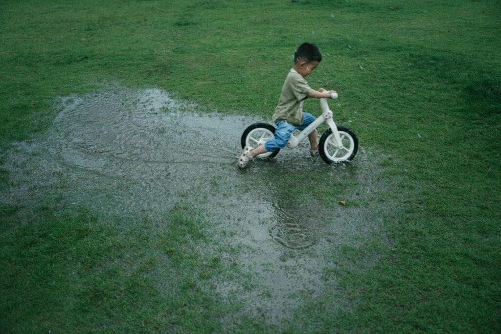 Quick Ways to Check the Quality of Yard Drainage